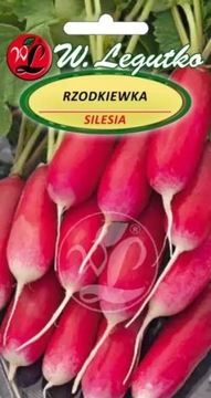 Rzodkiewka Silesia 10g