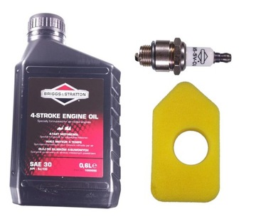 Olej Świeca Filtr do BRIGGS Seria 450 500 550