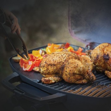 Двусторонняя чугунная пластина для портативного GRILL FAT NAPOLEON TravelQ 285