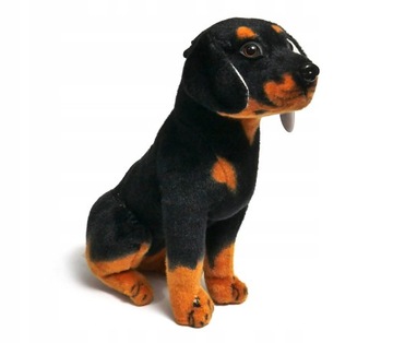 pluszowy PIES rasy ROTTWEILER MASKOTKA piesek rasowy NA PREZENT dla DZIECKA