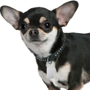 ОБРАЗЦЫ ДЛЯ ГРАВИРОВКИ БЫКА ПО МЕТАЛЛУ 20 ШТ.