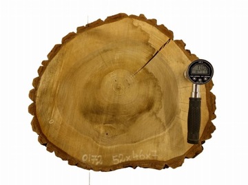 Срез грецкого ореха 52x46 см. Различные размеры.