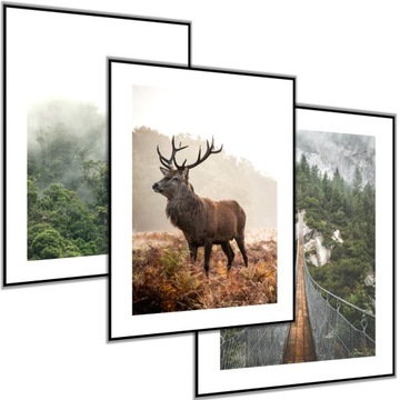 3 x PLAKAT OBRAZ 30x40 ŁOŚ JELEŃ POROŻE LAS MOST NATURA GÓRY ZIELONY BRĄZ