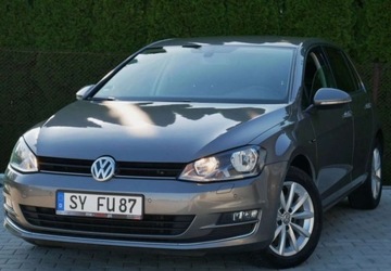 Volkswagen Golf VII Hatchback 3d 1.6 TDI BlueMotion 110KM 2016 Volkswagen Golf Volkswagen Golf 1.6 TDI BlueMotion Technology Lounge 1.6