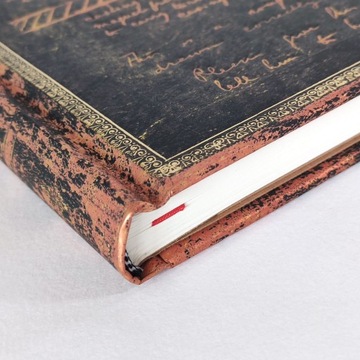 Блокнот в линейку Paperblanks Tesla, Sketch of Turb