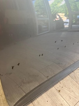DVEŘE LEVÉ PŘEDNÍ VW PASSAT B8 LEVÝ