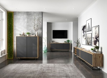 Комод Loft TV, Тумба под телевизор Loft, Wotan графит MAT