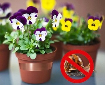 ЛЕНТА САМОКЛЕЙКА ИЗ МЕДНОЙ ФОЛЬГИ 25М×50ММ ПРОТИВ УЛИТОК