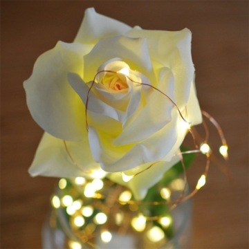 Проводные светильники 20 светодиодов с батарейками 2м белый теплый