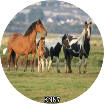 Украшение для торта вафельное HORSE круглое 20 см на день рождения