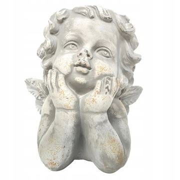 Kaktus Roślina doniczkowa Home Decor Twarz