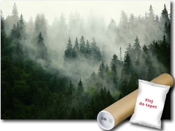 FOTOTAPETA WINYLOWA LAS MGŁA DRZEWA 152x104