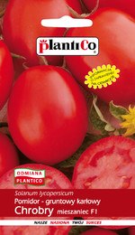 Nasiona Pomidor gruntowy Chrobry - mieszaniec 0,5g