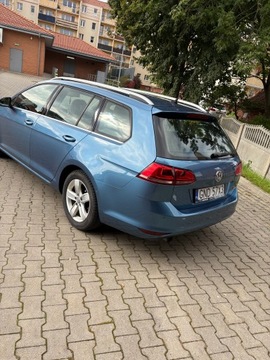 Volkswagen Golf VII Variant 1.6 TDI CR DPF BlueMotion Technology 105KM 2014 VW GOLF VII 1.6 TDI 4motion 105 KM, zdjęcie 2