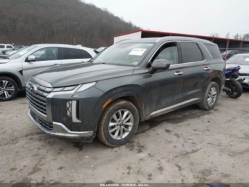 Hyundai 2024 Hyundai Palisade Calligraphy 2024 3.8 Benzyna 291KM, zdjęcie 1