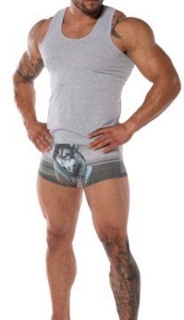 ФУТБОЛКА МУЖСКАЯ БЕЗРУКАВОВ, ХЛОПОК, L