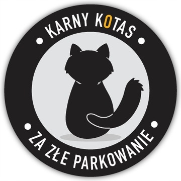 Штраф КАТАС за плохую парковку, не хер, 12 шт.
