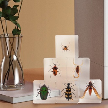 Смоляное украшение в виде насекомых, 6 шт.