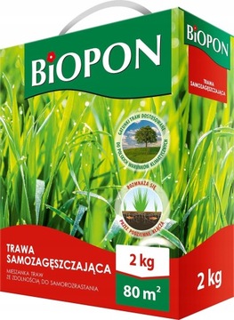 BIOPON nasiona Trawa Samozagęszczająca 80m² 2kg