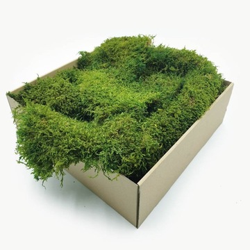 200 г мохового наполнителя FLAT для мохового мха