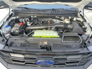 Ford Expedition III 2025 Ford Expedition Max Active 2025 3.5 Benzyna 400KM, zdjęcie 6