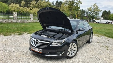 Opel Insignia I Hatchback Facelifting 2.0 CDTI ECOFLEX 120KM 2014 Opel Insignia 2.0 CDTi # Full Opcja # LiftBack #, zdjęcie 30