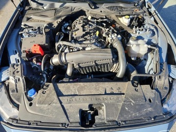 Ford Mustang VI 2025 Ford Mustang 2025 2.3L 2.3 Benzyna 310KM, zdjęcie 6