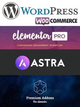 WordPress - Elementor Pro + Astra Pro + 145 gotowych szablonów