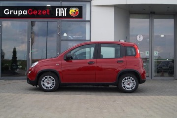 Fiat Panda III 2026 Fiat Panda Pandina Icon 1.0 70 KM, zdjęcie 5