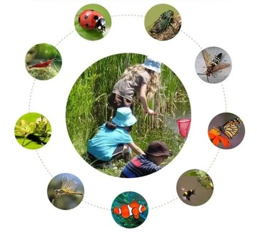 СКЛАДНАЯ ТЕЛЕСКОПИЧЕСКАЯ СЕТКА ДЛЯ БАБОЧЕК/НАСЕКОМЫХ/БАССЕЙНА