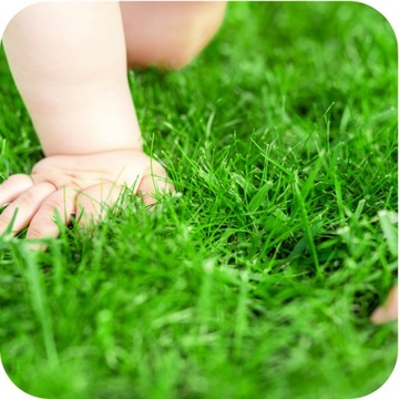 Fructus Antymech 25кг Удобрение для газонов и трав С ВЫСОКИМ СОДЕРЖАНИЕМ ЖЕЛЕЗА