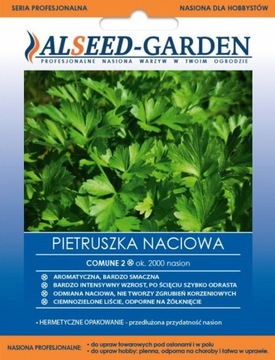 PIETRUSZKA NACIOWA COMUNE AROMATYCZNA SMACZNA ODPORNA NASIONA HOLENDERSKIE