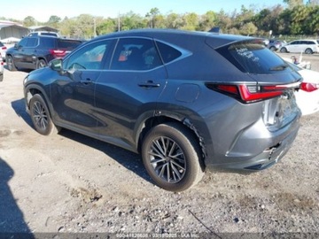 Lexus NX II 2024 Lexus NX 250 PREMIUM, 2024r., 2.5L 2.5 Benzyna 203KM, zdjęcie 2