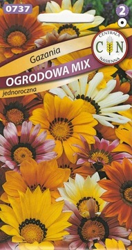 GAZANIA MIX przepiękna odporna i długo kwitnie