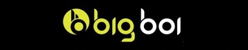 BigBoi WashR Pro Фиксированное настенное крепление