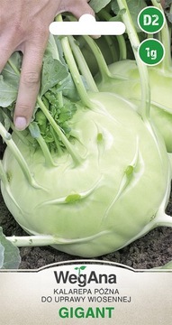 KALAREPA GIGANT do 5kg nasiona kalarepy Odmiana PÓŹNA WegAna