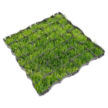 Kratka parkingowa P4 Trawnikowa 50x50x4cm - 10szt.
