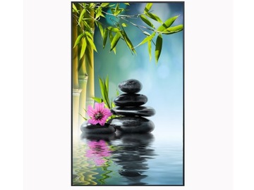 Eco Инфракрасный ИК-нагреватель Инфракрасный обогреватель для спа 750 Вт