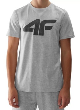 МУЖСКАЯ ФУТБОЛКА 4F МАЙКА СПОРТИВНАЯ БЛУЗКА НА КАЖДЫЙ ДЕНЬ