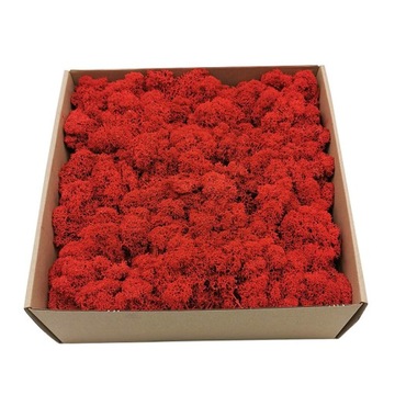 250g netto MECH CHROBOTEK reniferowy OCZYSZCZONY