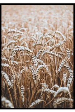 НАБОР постеров СОСТАВ 2 штуки размеры 30х40 бежевый