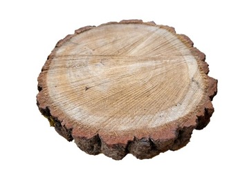 Plaster DĘBOWY na chodnik ścieżka ogrodowa średnica 20 cm