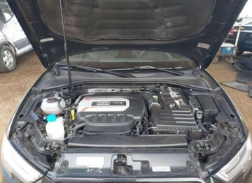 Audi A3 8V 2019 Audi S3 Premium Plus 2.0 TFSI quattro 2.0 Benzyna 288KM, zdjęcie 11