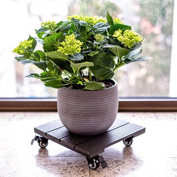 ОСНОВАНИЕ, ПОДСТАВКА ДЛЯ ЦВЕТОЧНОГО ГОРШКА, КОЛЕСА С ЗАМКОМ