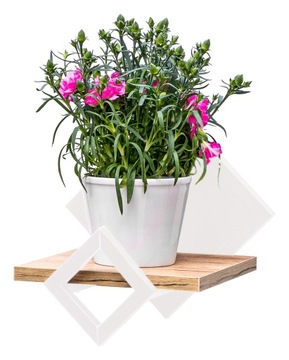 STOJAK PÓŁKA WISZĄCA KWIETNIK ŚCIENNY METALOWY Z BLATEM - BIAŁY/DĄB CRAFT