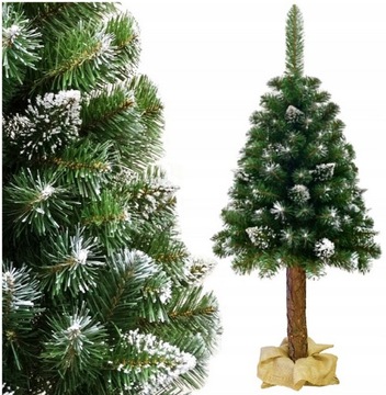 CHOINKA SZTUCZNA NA PNIU SOSNA DIAMENTOWA 160 CM