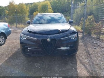 Alfa Romeo Stelvio SUV Facelifting 2.0 Turbo 280KM 2021 Alfa Romeo Stelvio Ti 2021 2.0l 2.0 Benzyna 280KM, zdjęcie 7