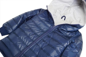 КУРТКА F&R SPRING ДИНОЗАВР ДРАКОН ПОЛЬША 86