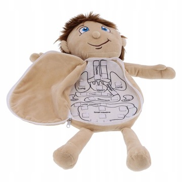 Кукла для изучения анатомии. Органы человеческого тела.