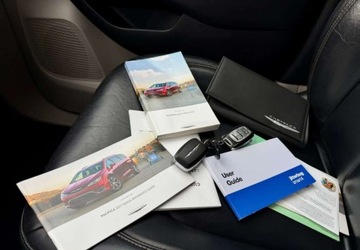 Chrysler Pacifica I 2016 Chrysler Pacifica Chrysler Pacifica 3.6 Benzyna 290KM, zdjęcie 38
